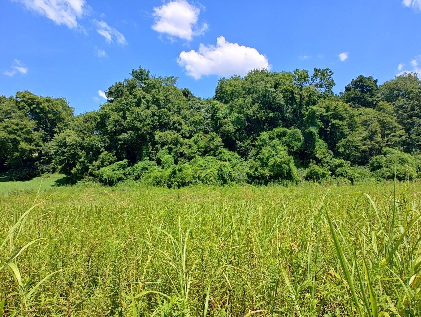 72 Espalier Drive Decatur TN 37322