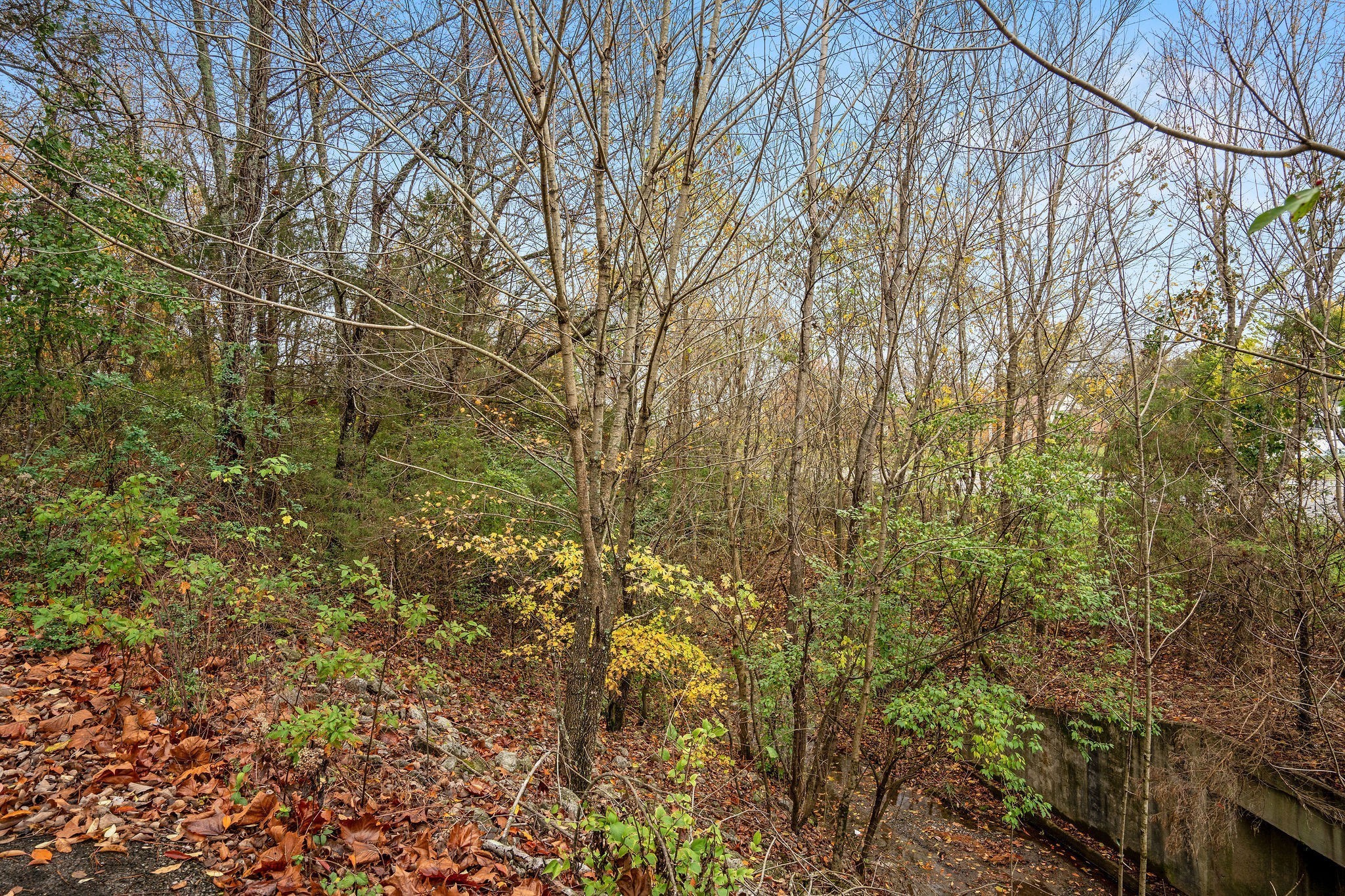 4087 Murfreesboro Road, W Franklin TN 37067