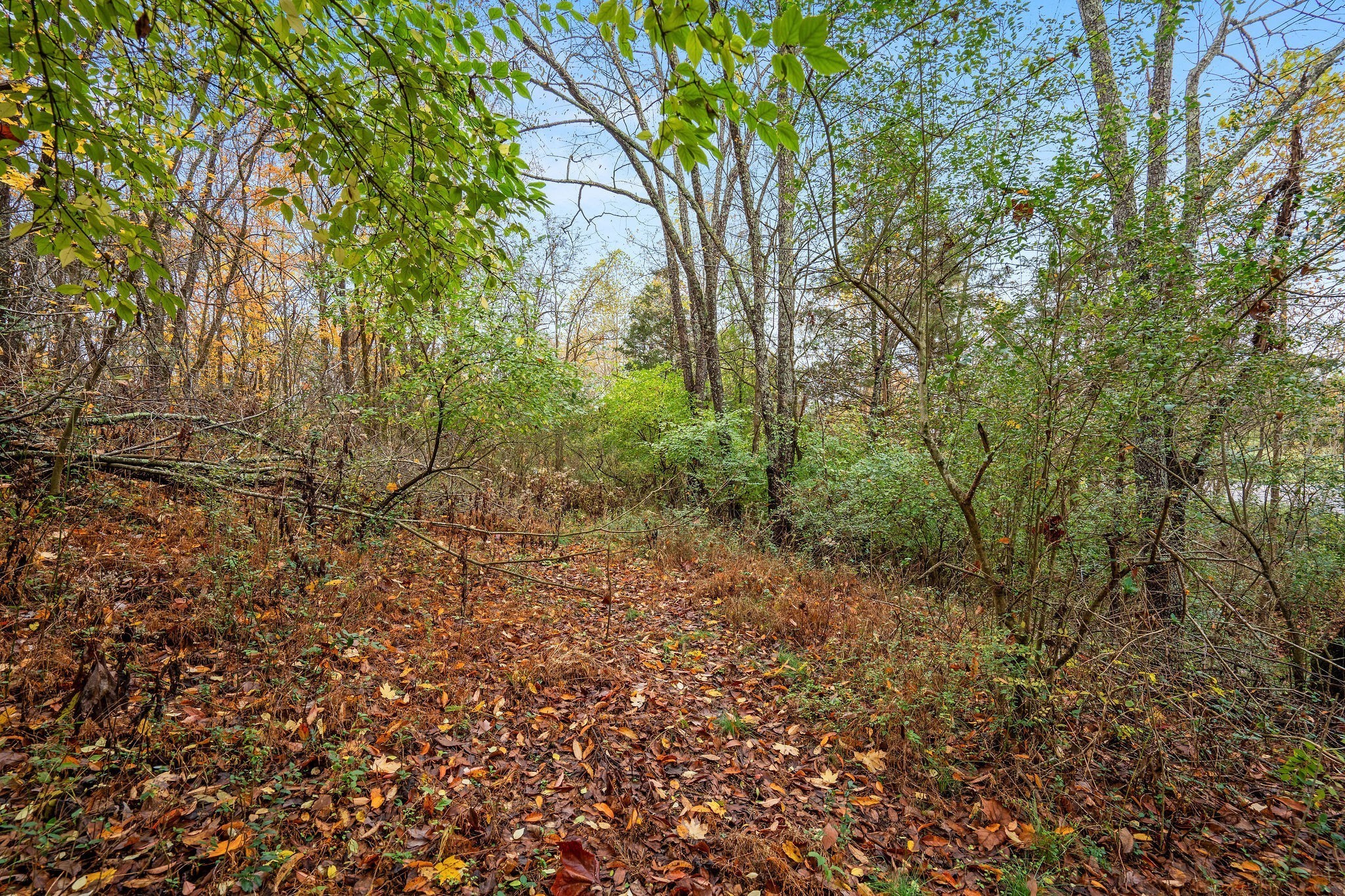 4087 Murfreesboro Road, W Franklin TN 37067