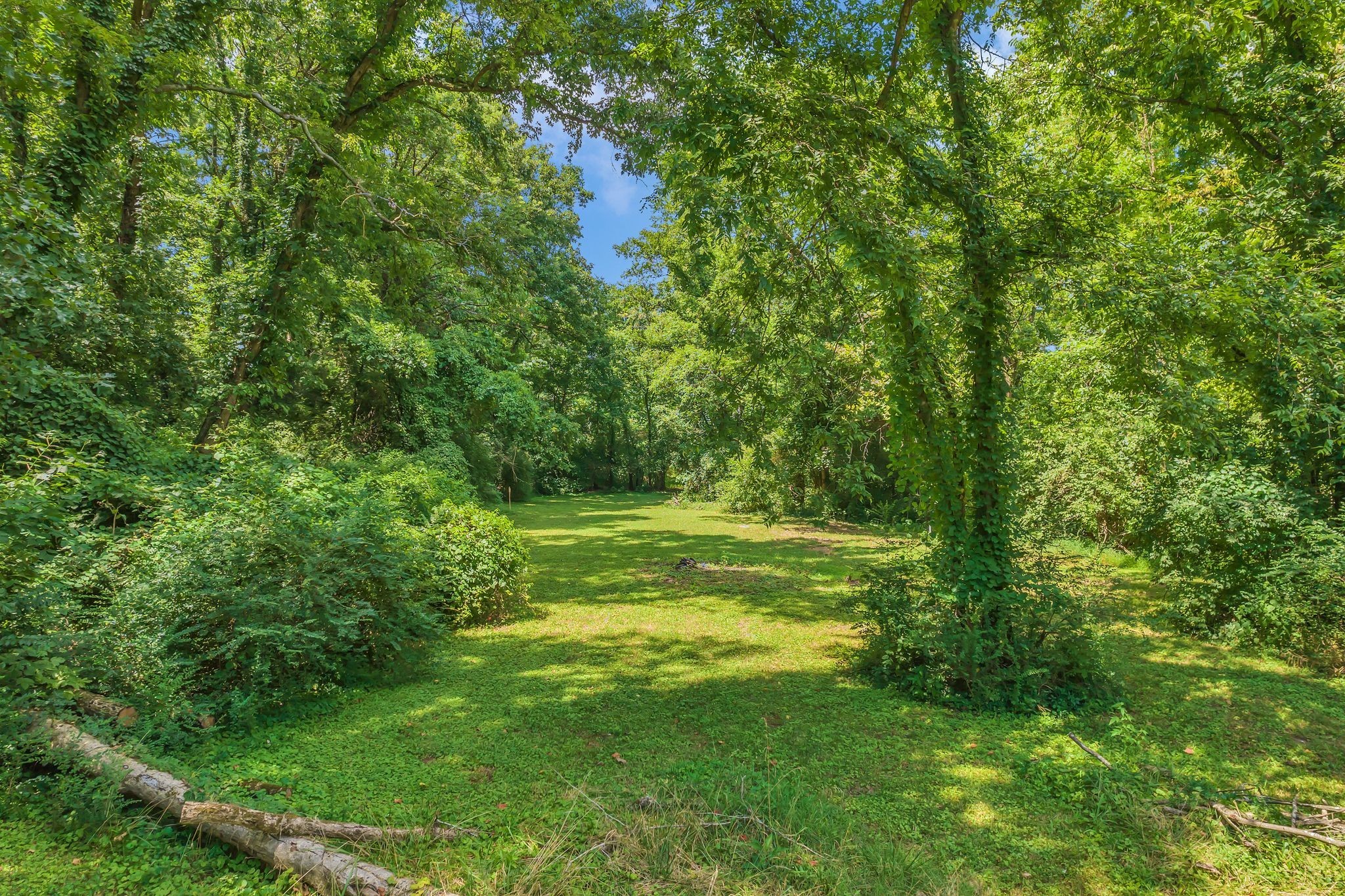 1008 Downey Drive Nashville TN 37205