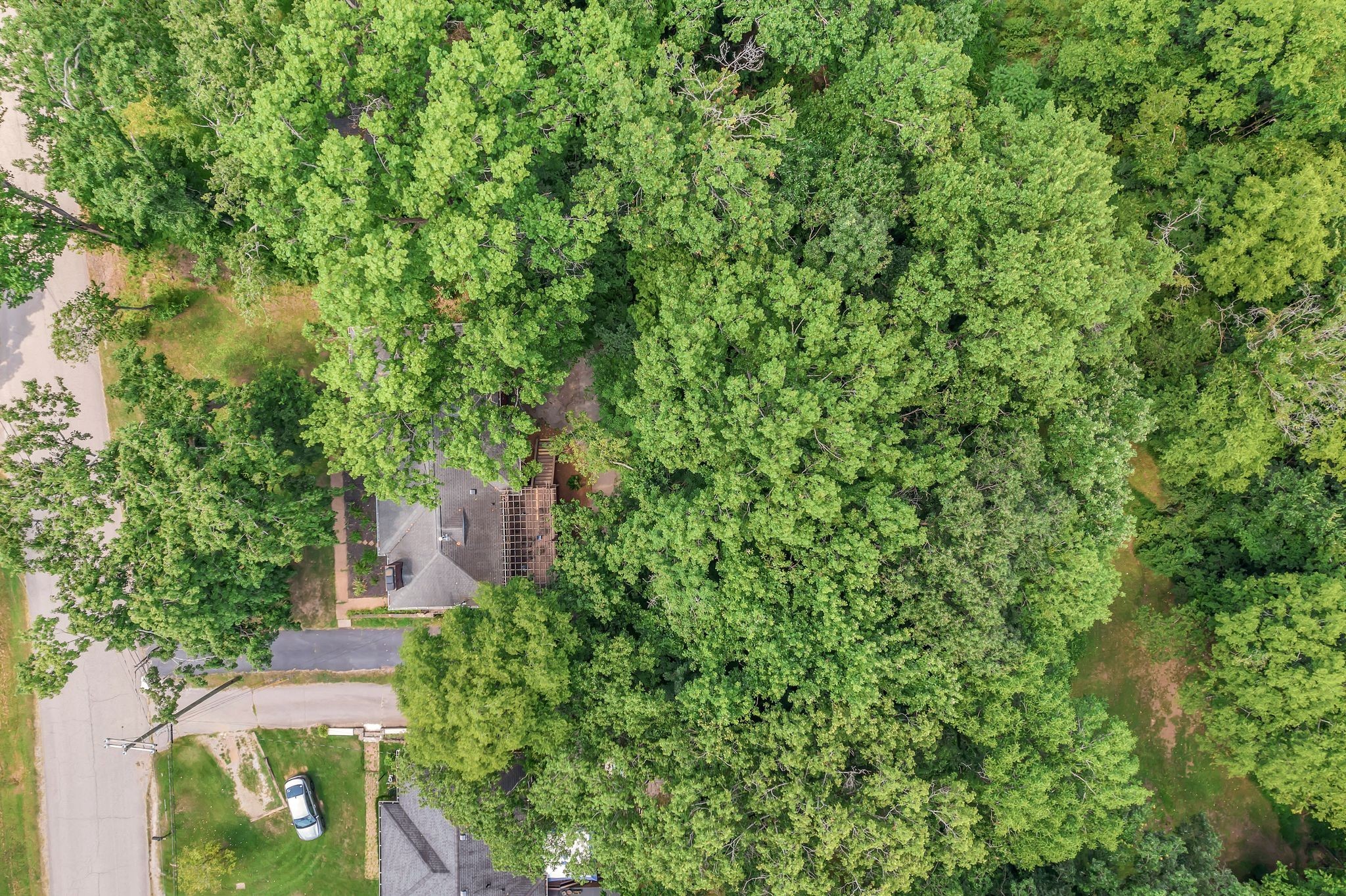 1008 Downey Drive Nashville TN 37205
