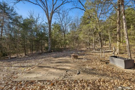 1585 Amos Hamlett Road Pulaski TN 38478