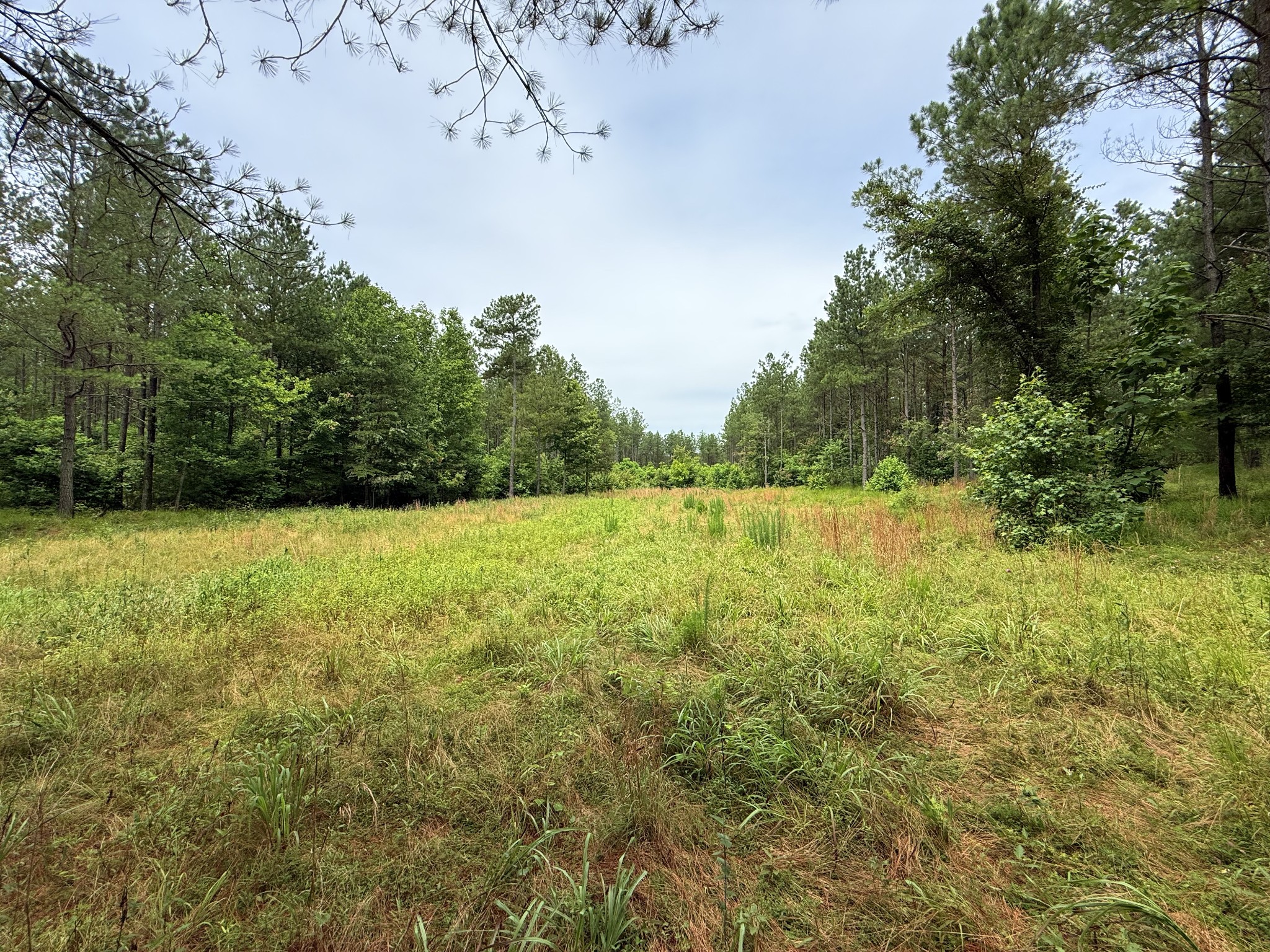 0 Spokelay Road Spencer TN 38585