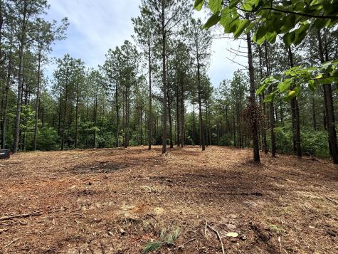 0 Spokelay Road Spencer TN 38585