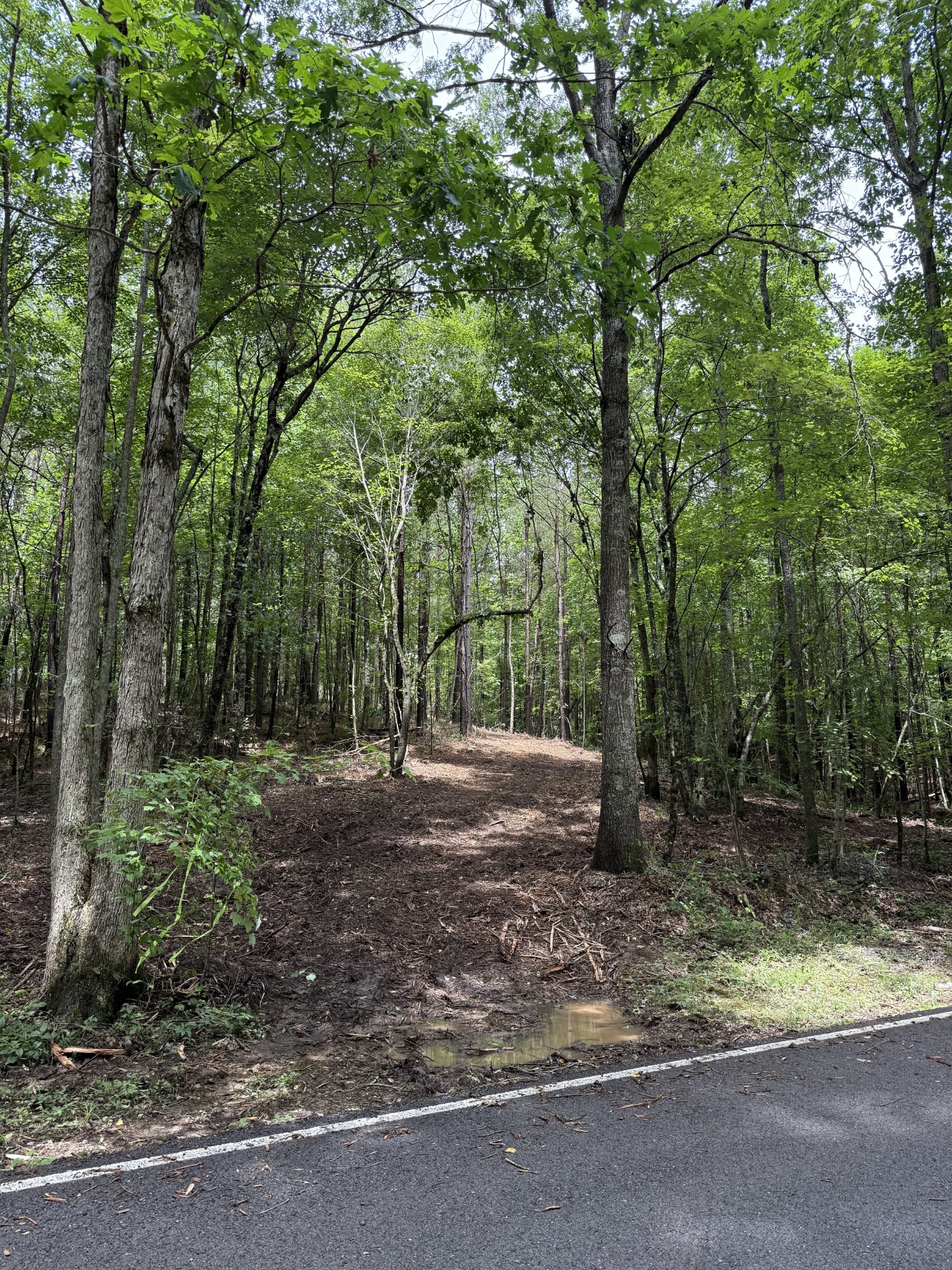 0 Spokelay Road Spencer TN 38585