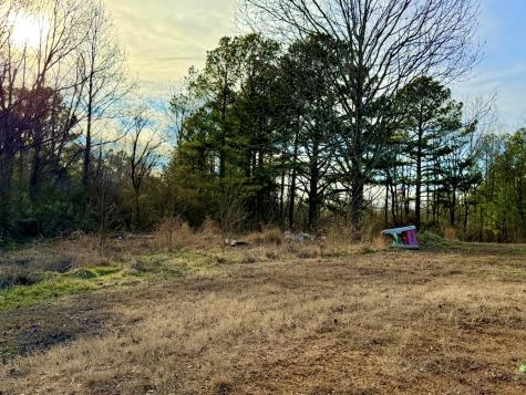 748 Old Mckenzie Highway Paris TN 38242