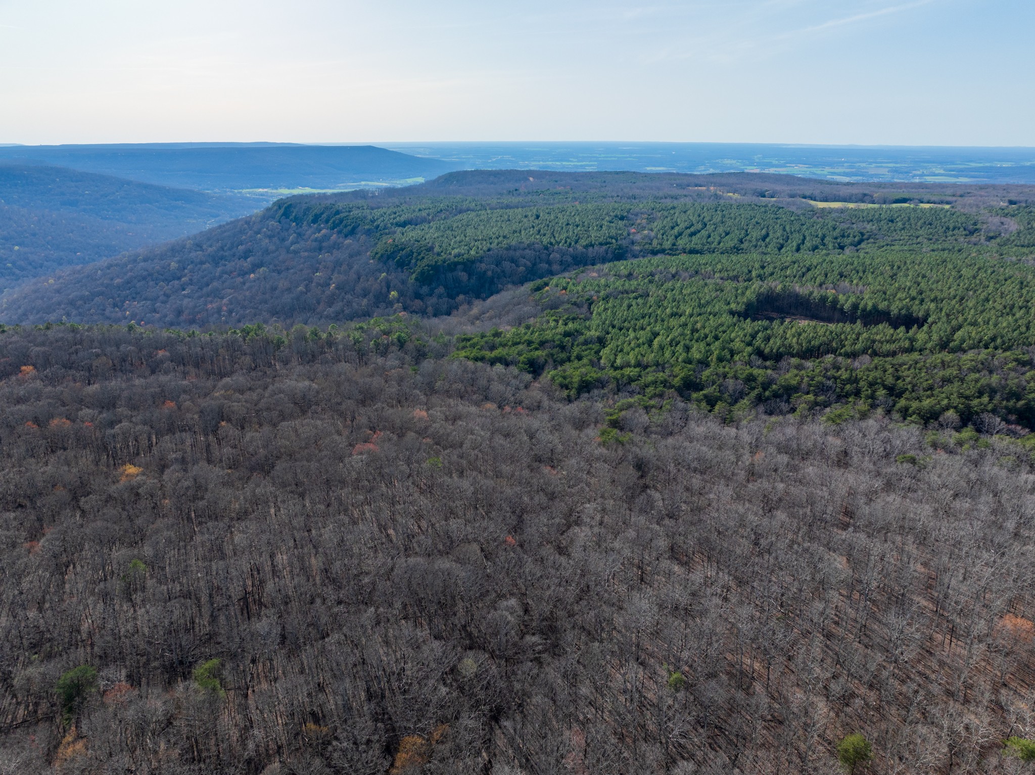 0 Timberwood Trace Tracy City TN 37387