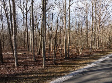 0 Timberwood Trace Tracy City TN 37387