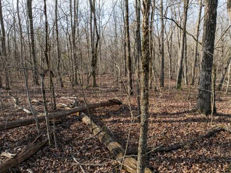 0 Timberwood Trace Tracy City TN 37387