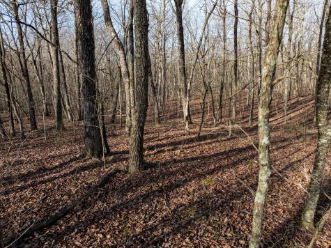0 Timberwood Trace Tracy City TN 37387