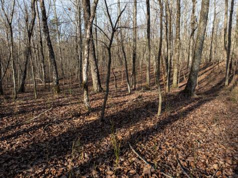 0 Timberwood Trace Tracy City TN 37387