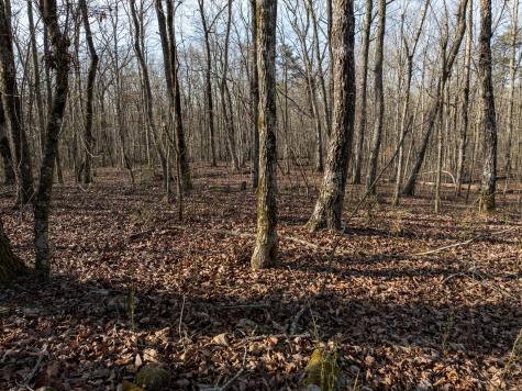 0 Timberwood Trace Tracy City TN 37387