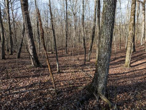 0 Timberwood Trace Tracy City TN 37387