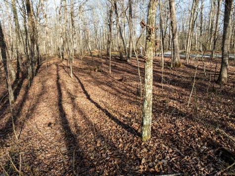 0 Timberwood Trace Tracy City TN 37387