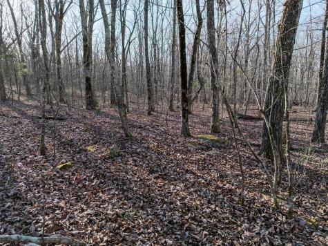 0 Timberwood Trace Tracy City TN 37387