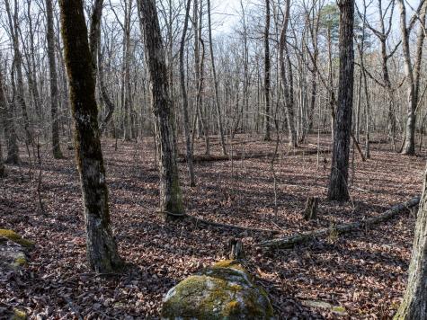 0 Timberwood Trace Tracy City TN 37387