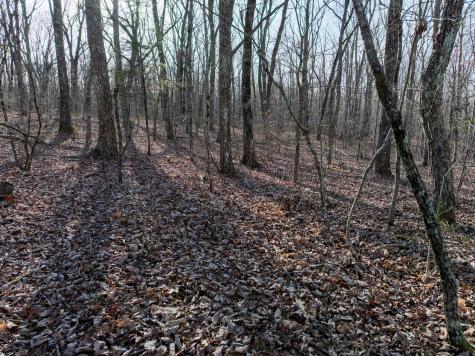 0 Timberwood Trace Tracy City TN 37387