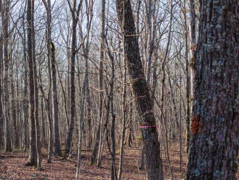 0 Timberwood Trace Tracy City TN 37387