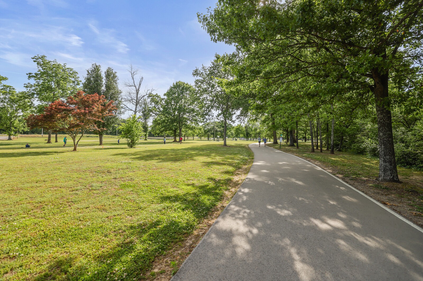 132 Rosebush Lane Lebanon TN 37087
