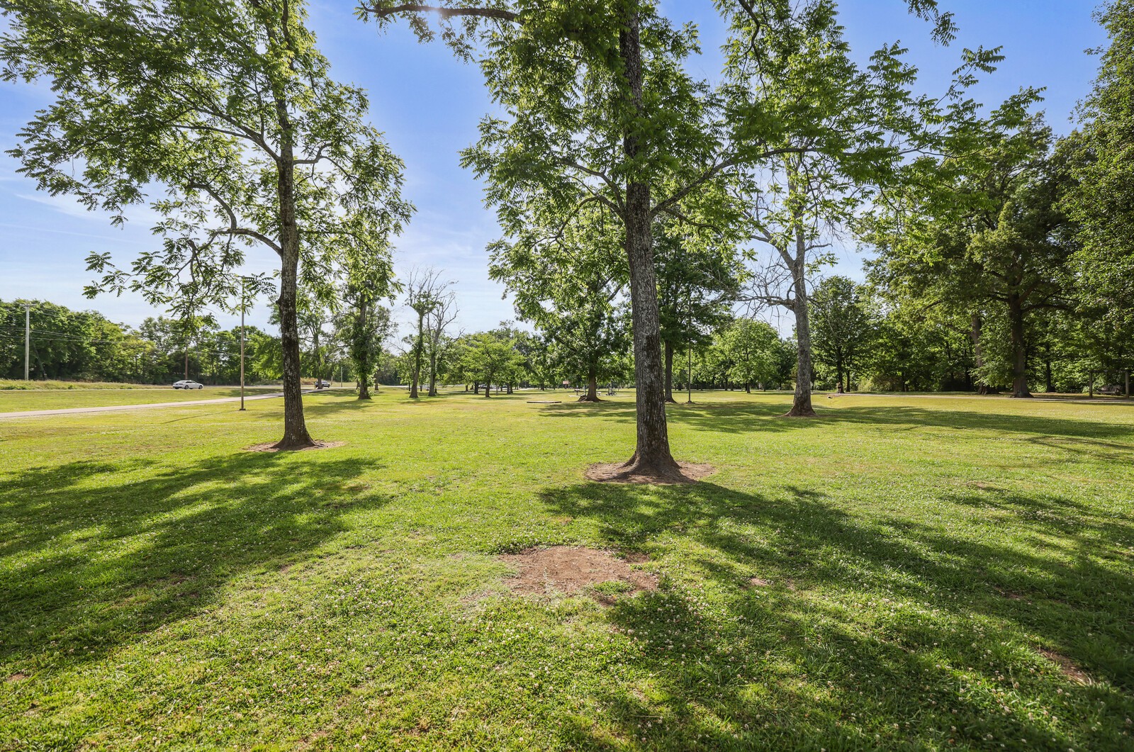 132 Rosebush Lane Lebanon TN 37087