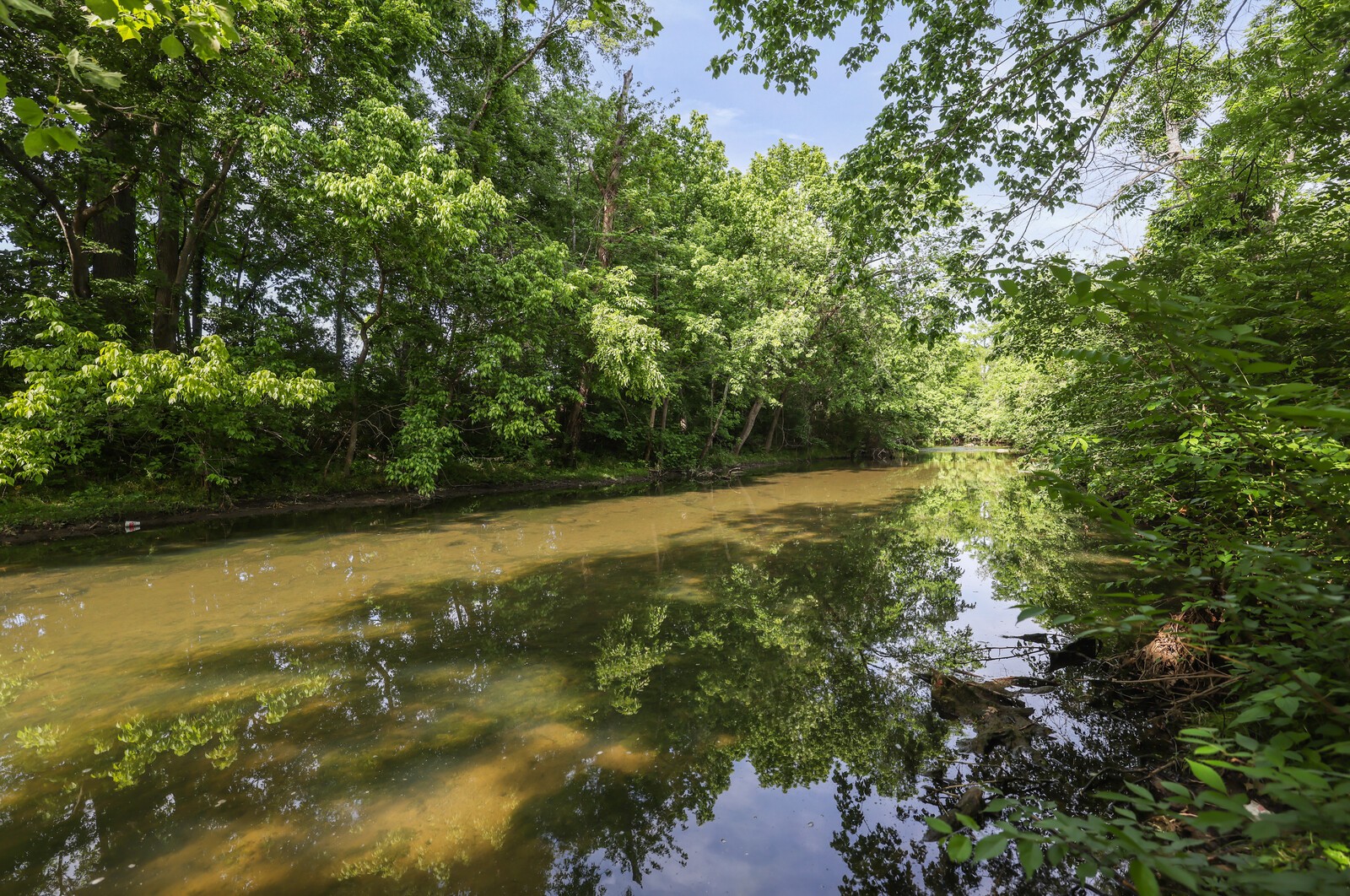 132 Rosebush Lane Lebanon TN 37087