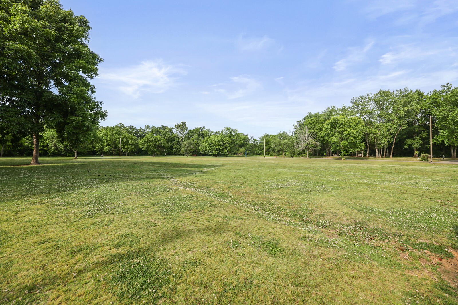 132 Rosebush Lane Lebanon TN 37087