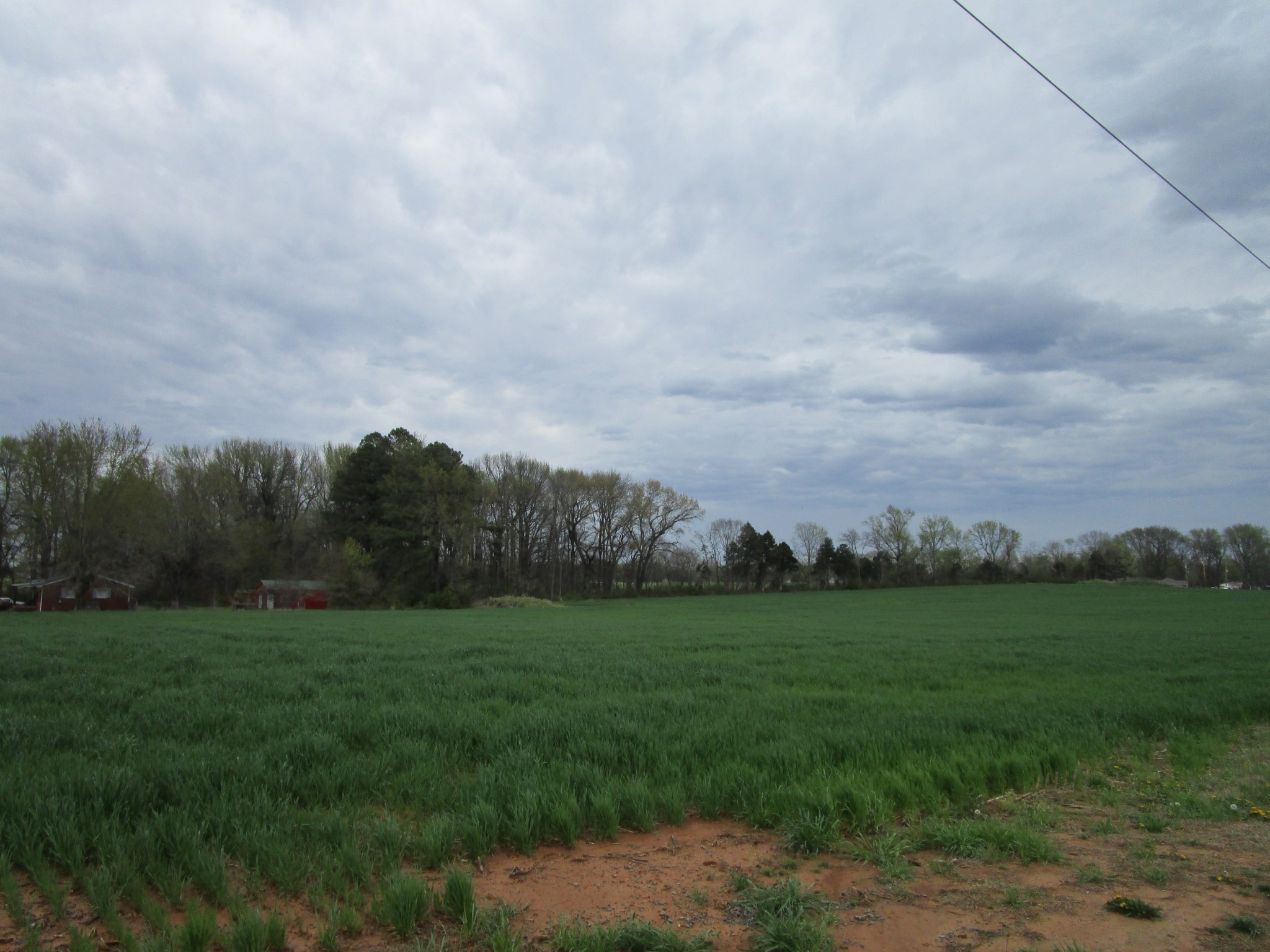 0 Searcy Lane Portland TN 37148