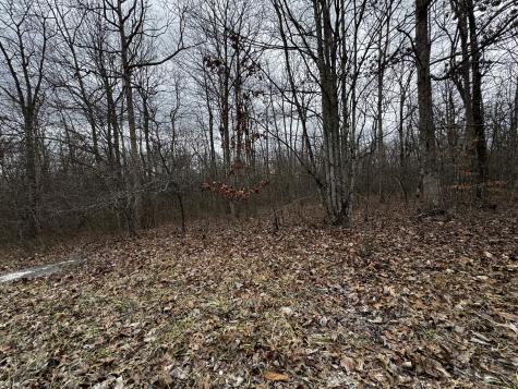 0 Hunters Ridge Trail Altamont TN 37301