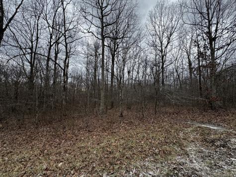 0 Hunters Ridge Trail Altamont TN 37301