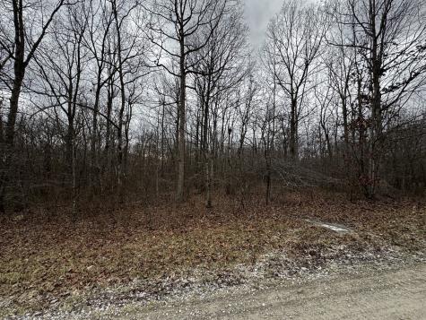 0 Hunters Ridge Trail Altamont TN 37301