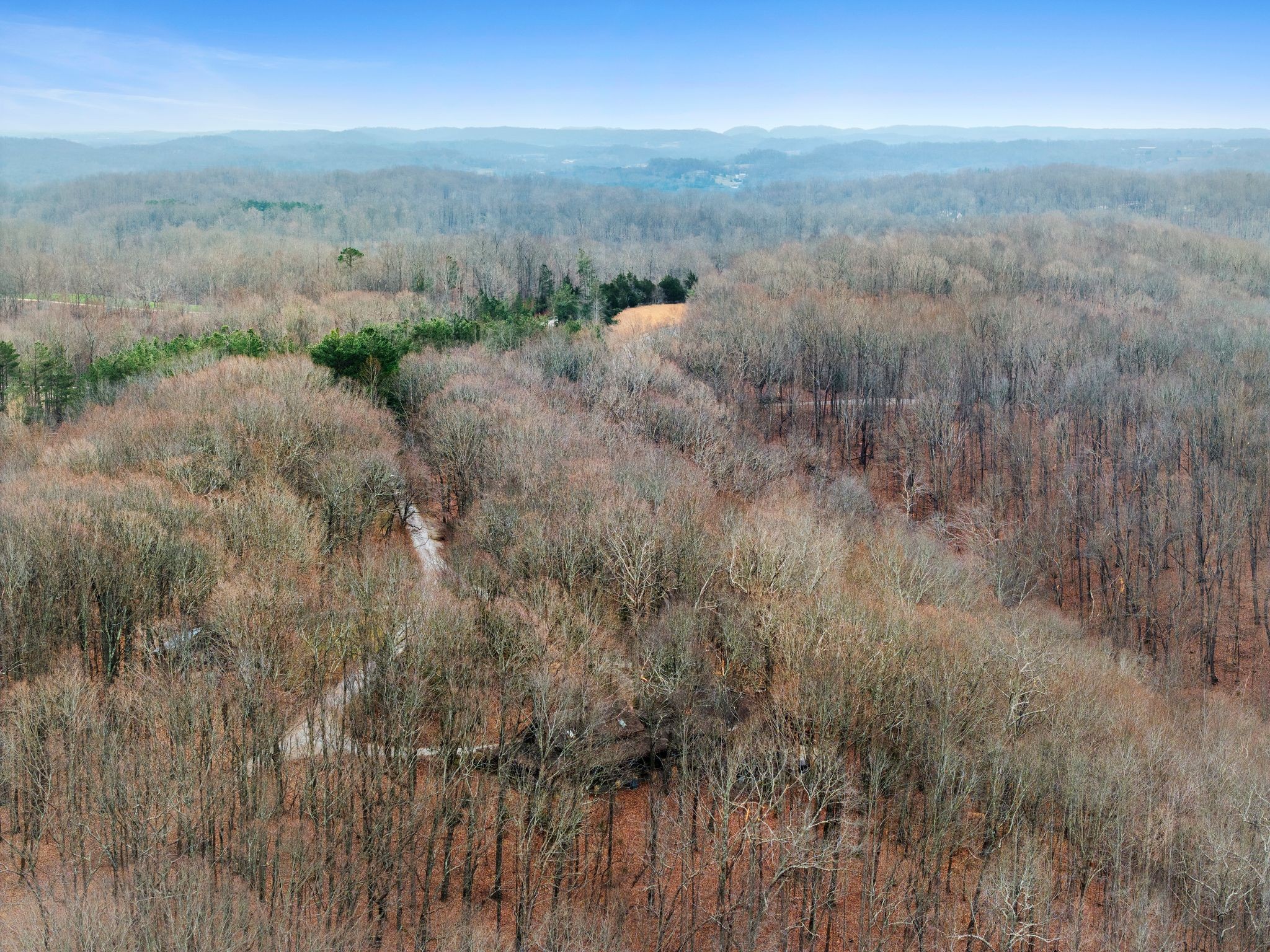 5215 Backbone Ridge Road Franklin TN 37064