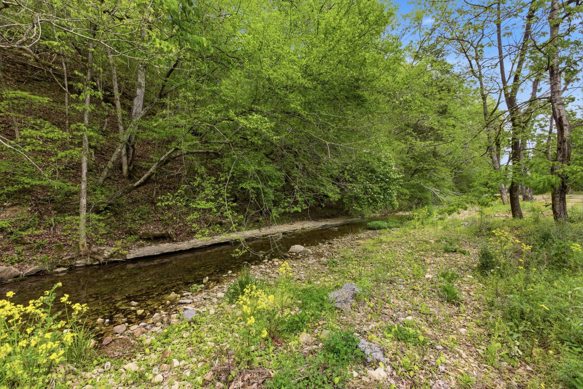 580 Defeated Creek Road Centerville TN 37033