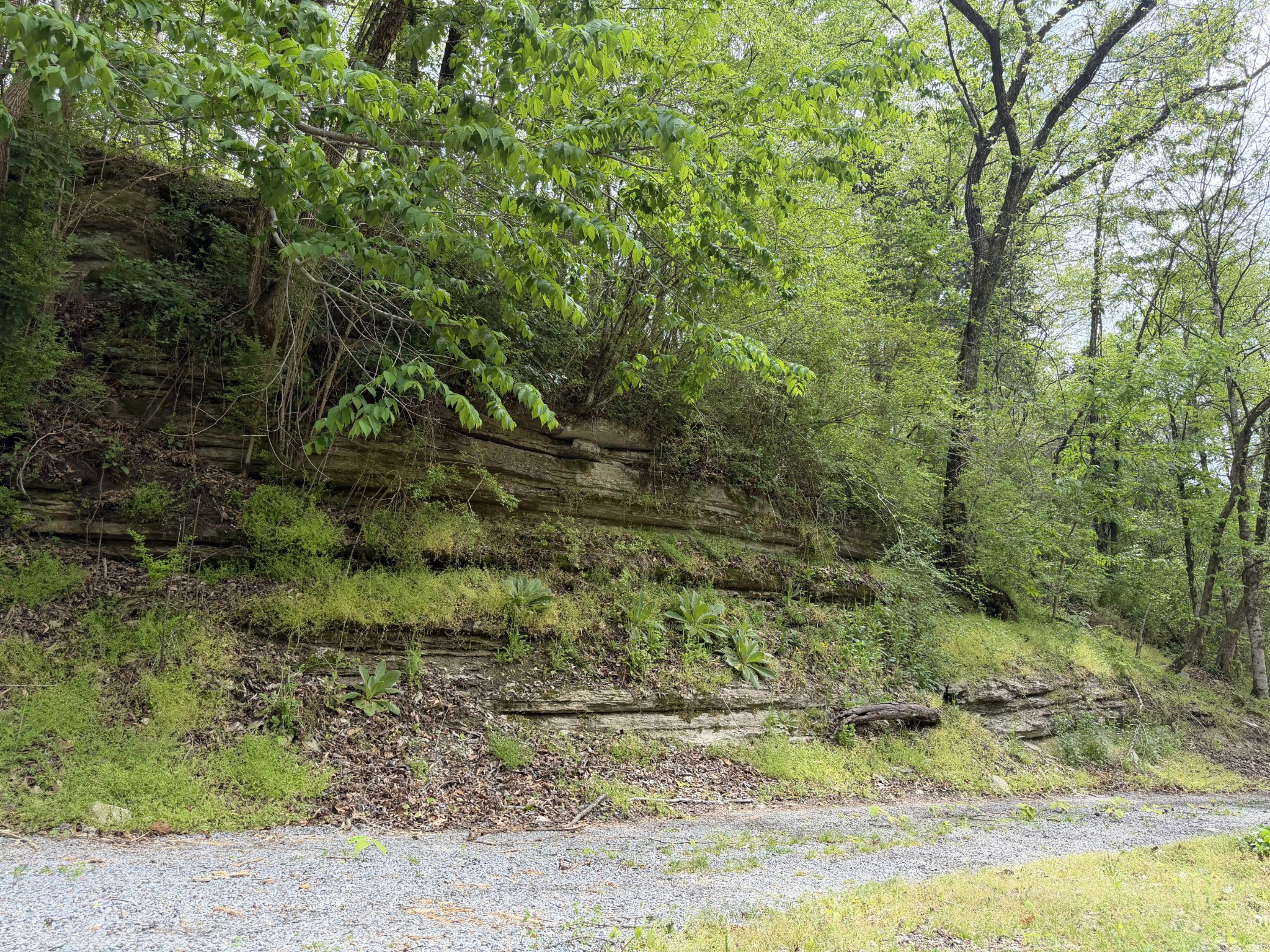 580 Defeated Creek Road Centerville TN 37033