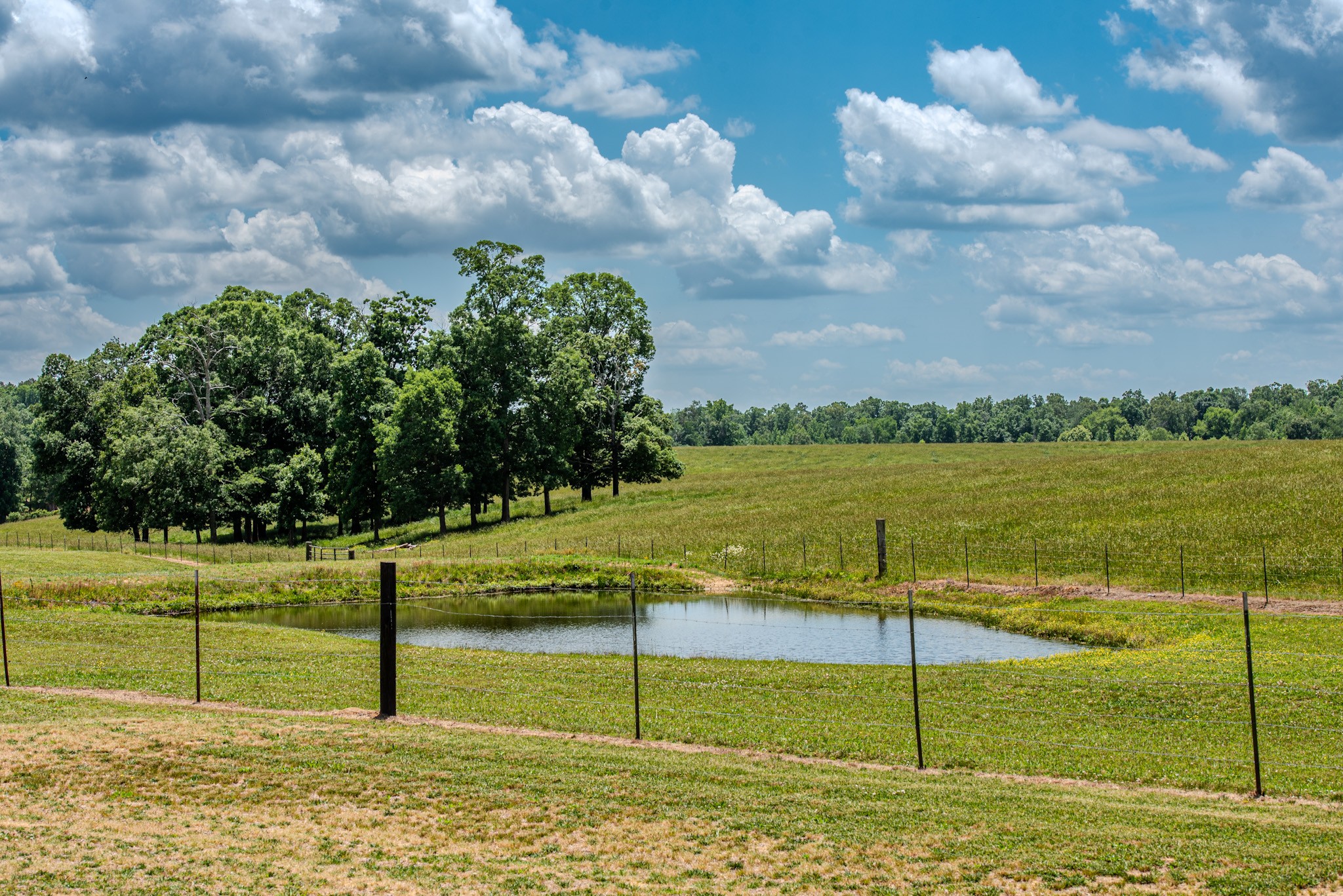 1198 David Patterson Road Lutts TN 38471