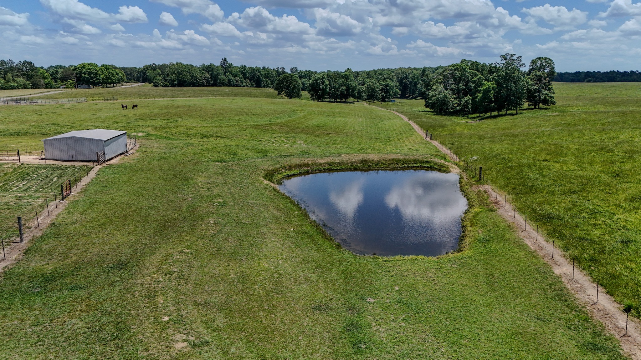1198 David Patterson Road Lutts TN 38471