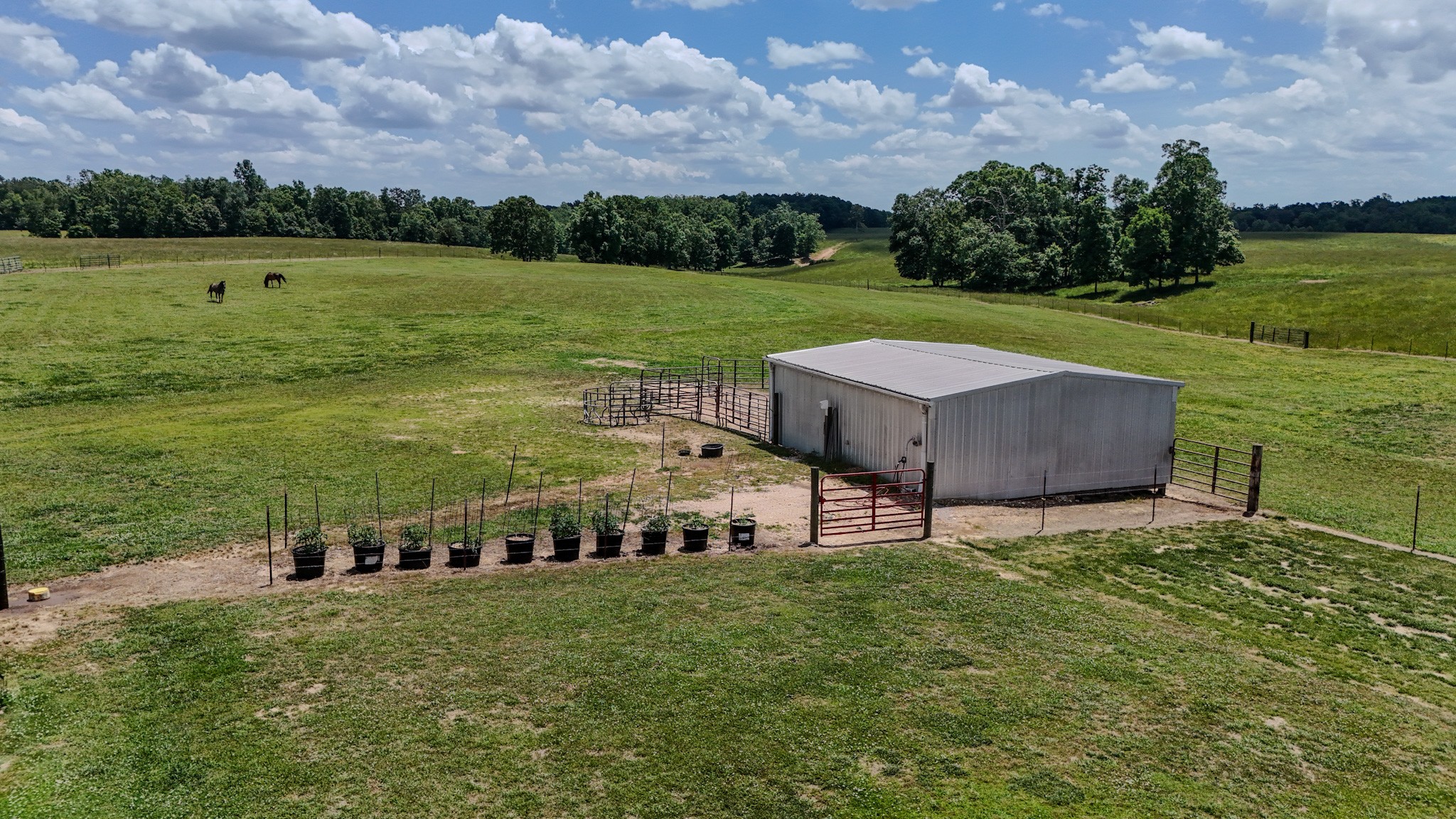 1198 David Patterson Road Lutts TN 38471