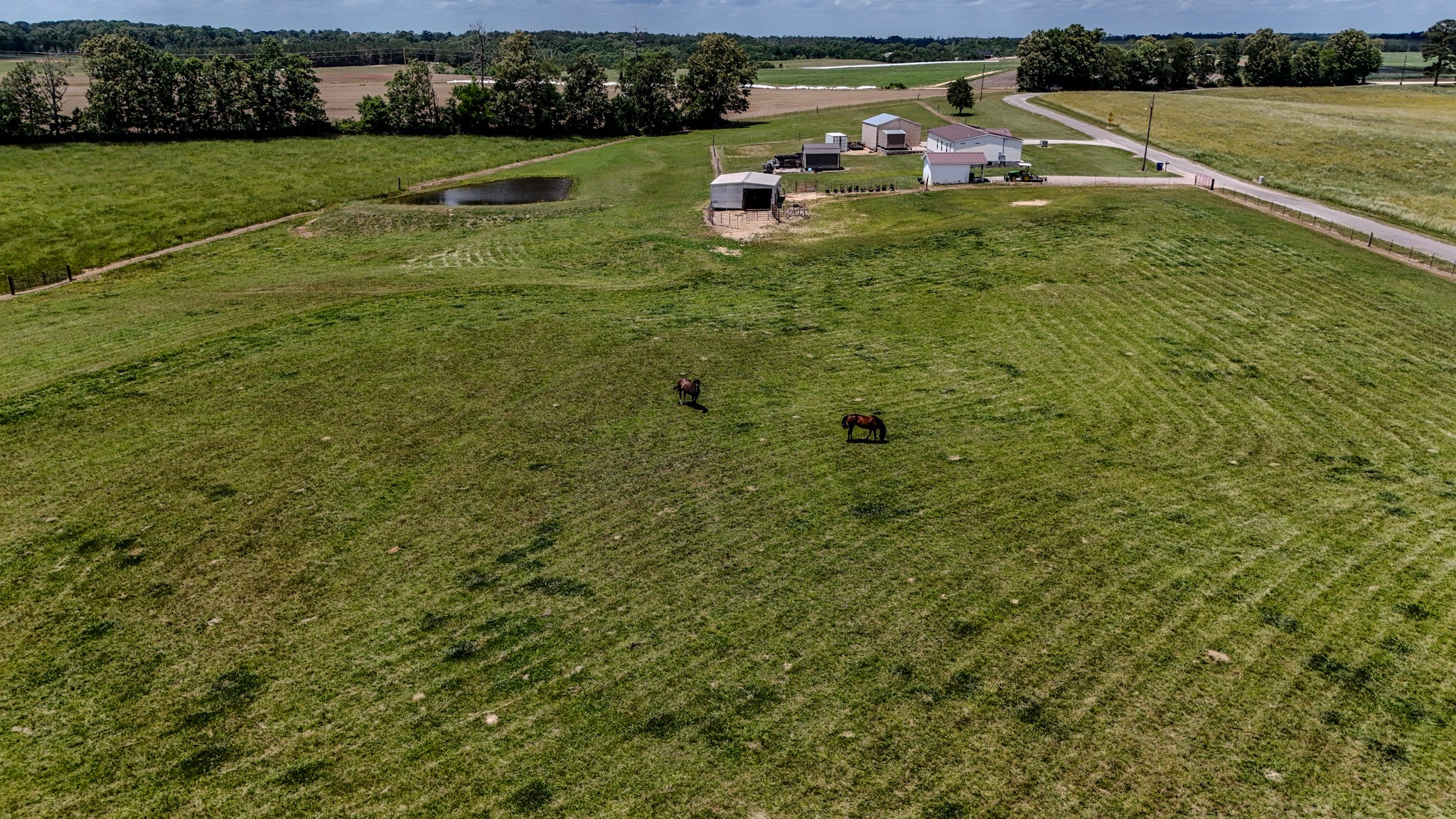 1198 David Patterson Road Lutts TN 38471