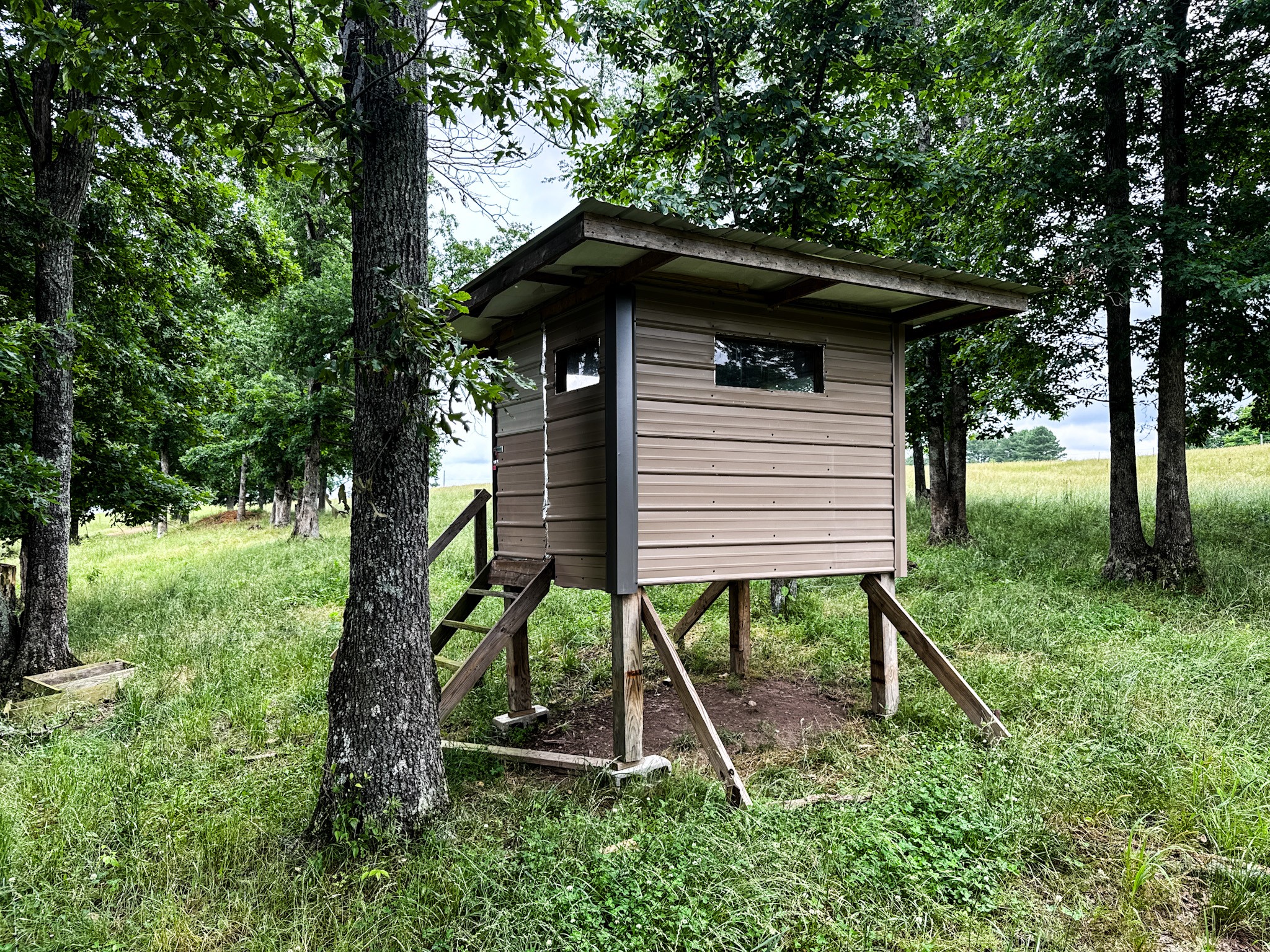 1198 David Patterson Road Lutts TN 38471