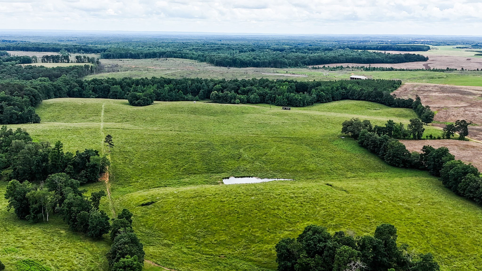 1198 David Patterson Road Lutts TN 38471
