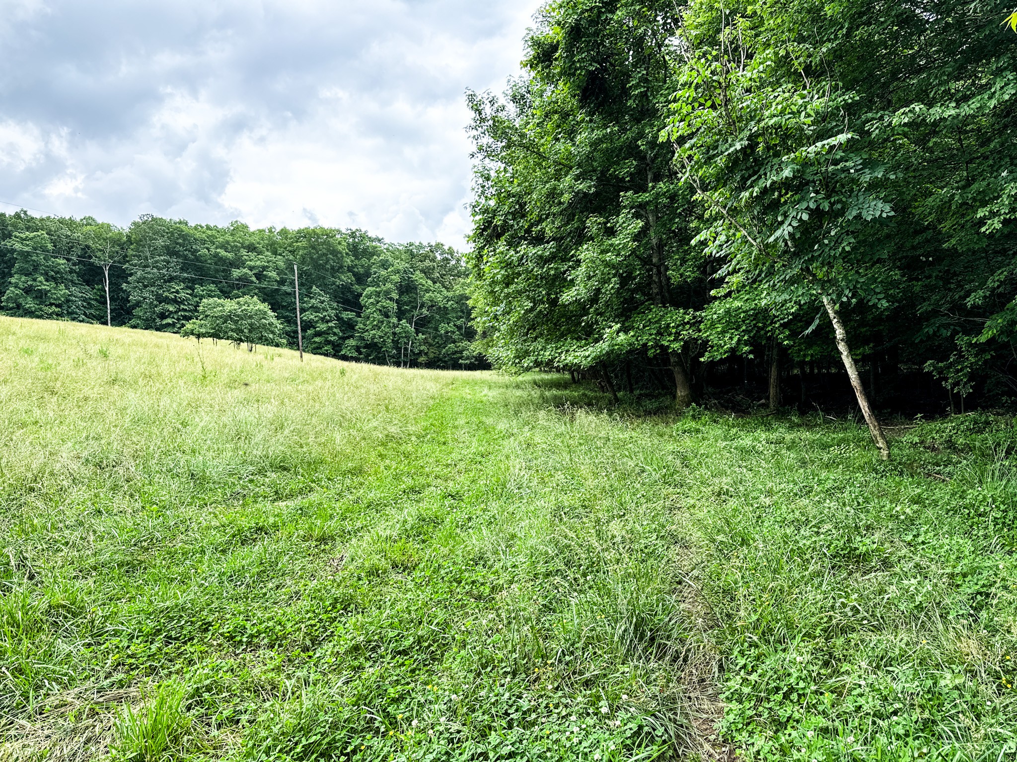 1198 David Patterson Road Lutts TN 38471