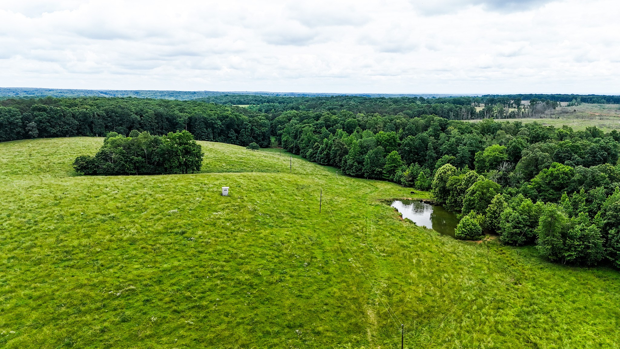 1198 David Patterson Road Lutts TN 38471
