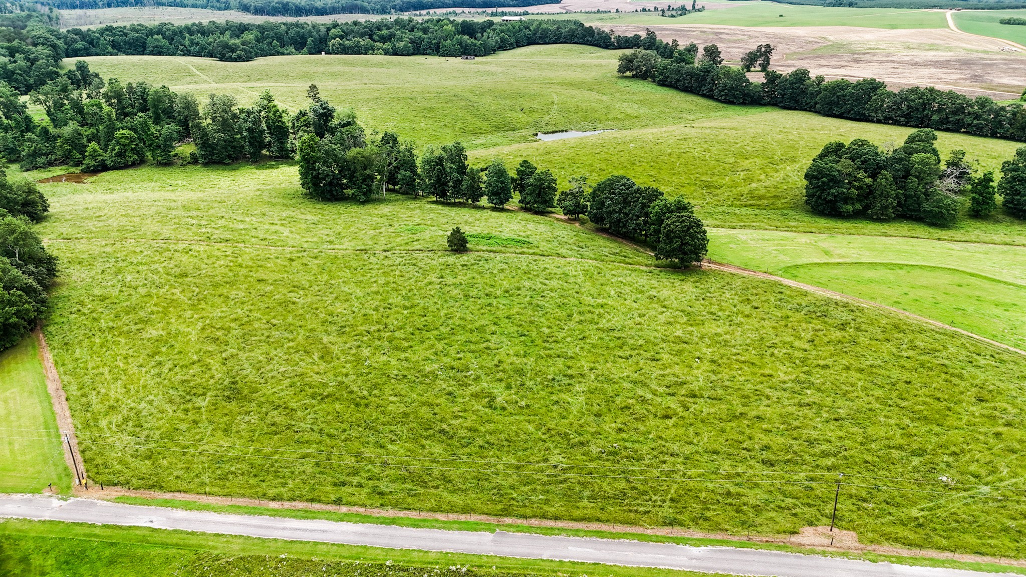 1198 David Patterson Road Lutts TN 38471