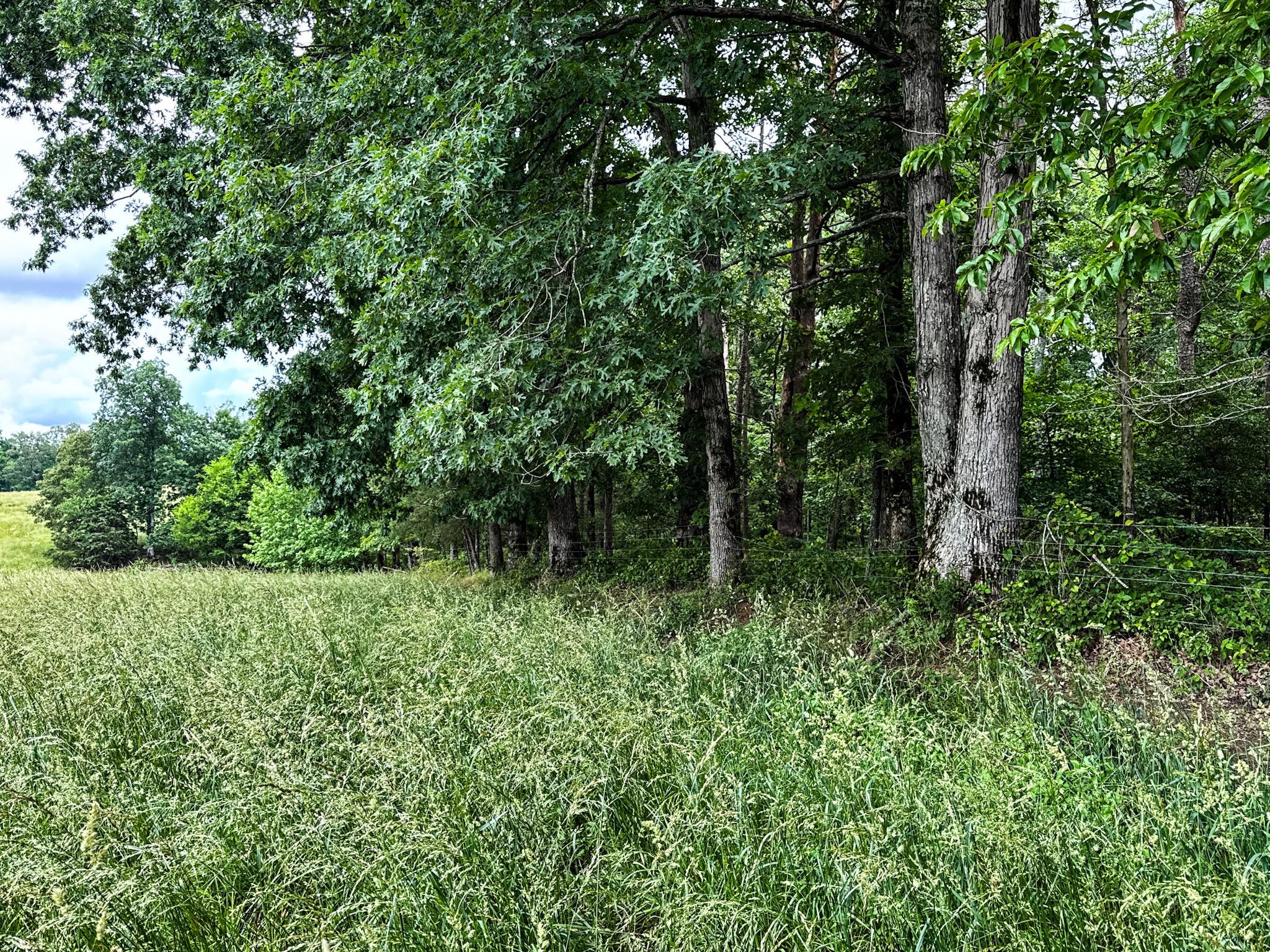 1198 David Patterson Road Lutts TN 38471