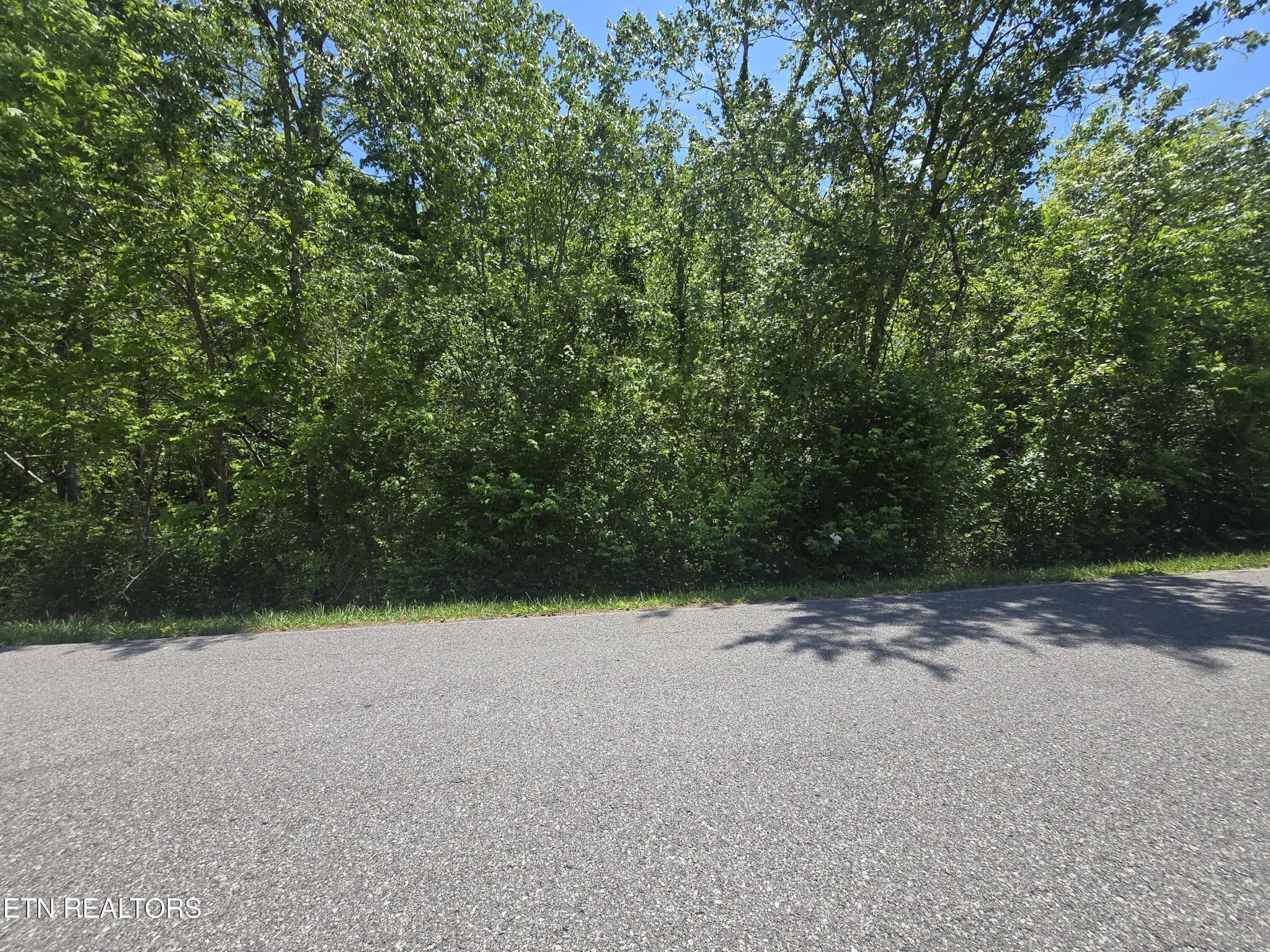 0 Brookhaven Drive Crossville TN 38555