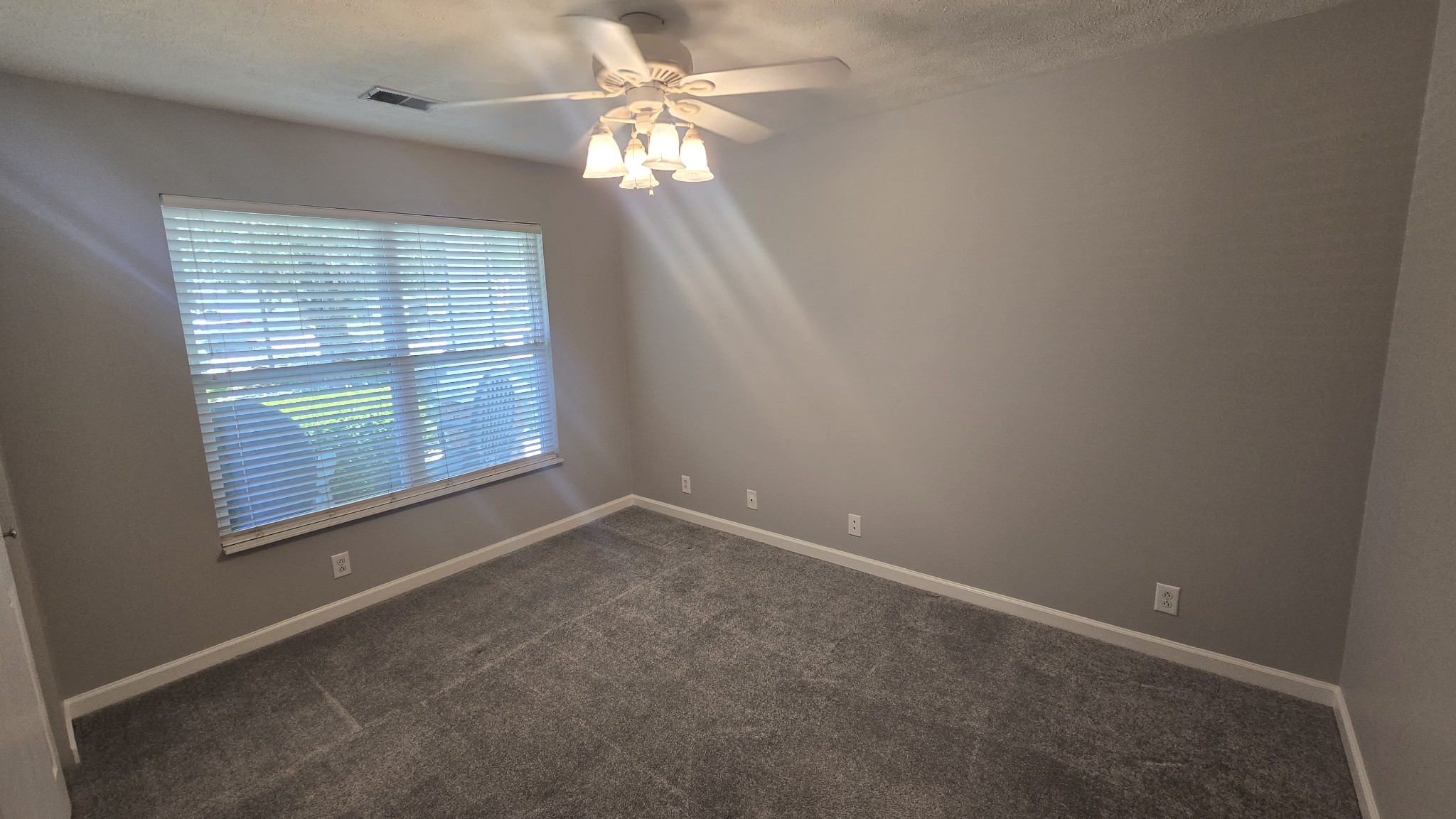 2425 Pleasant Springs Lane Hermitage TN 37076