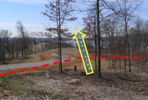 383 Thief Neck View Rockwood TN 37854