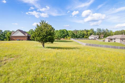 594 Double Eagle Drive Summertown TN 38483