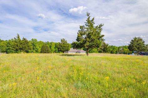 594 Double Eagle Drive Summertown TN 38483