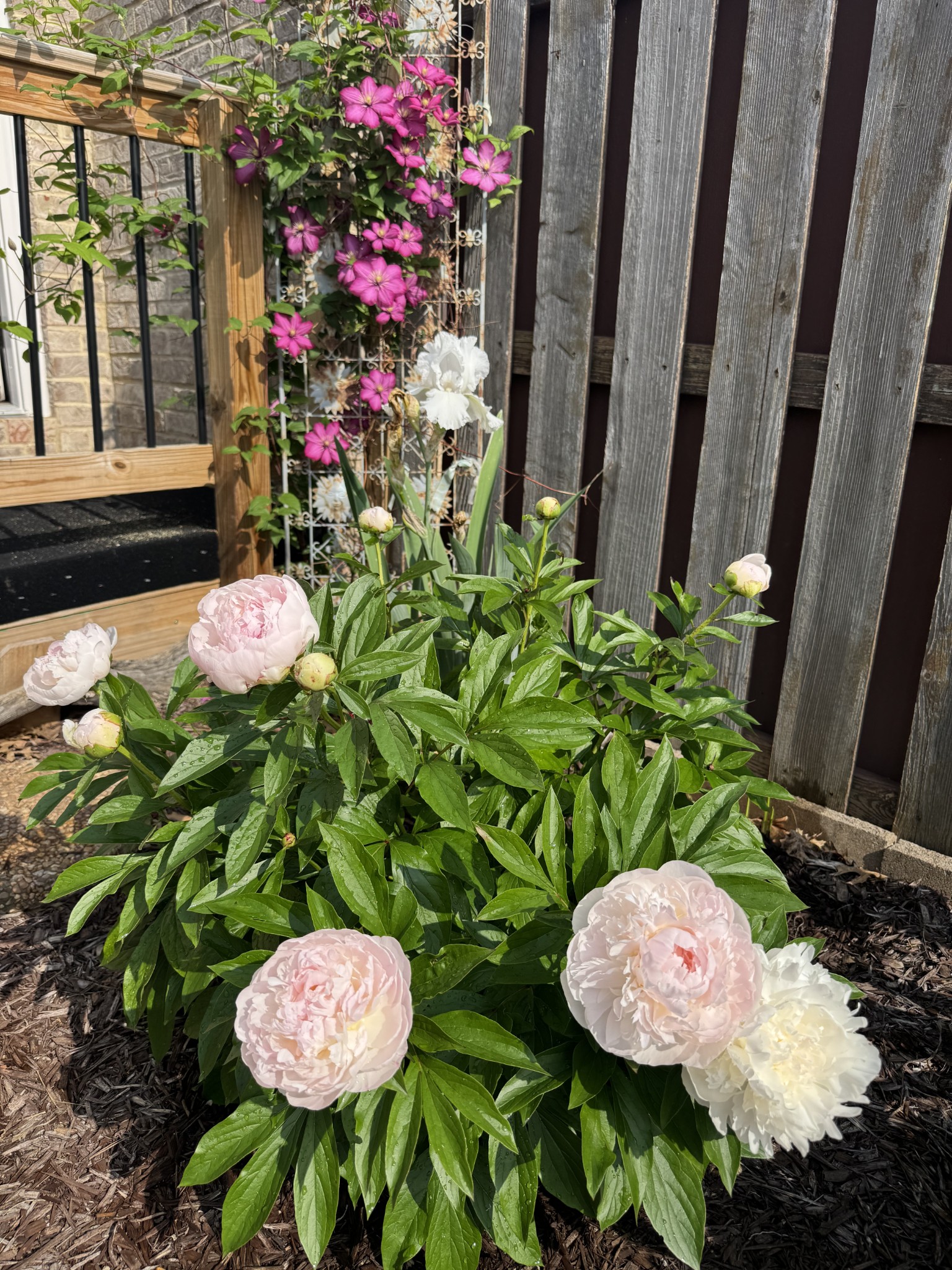 168 Stoners Glen Drive Hermitage TN 37076