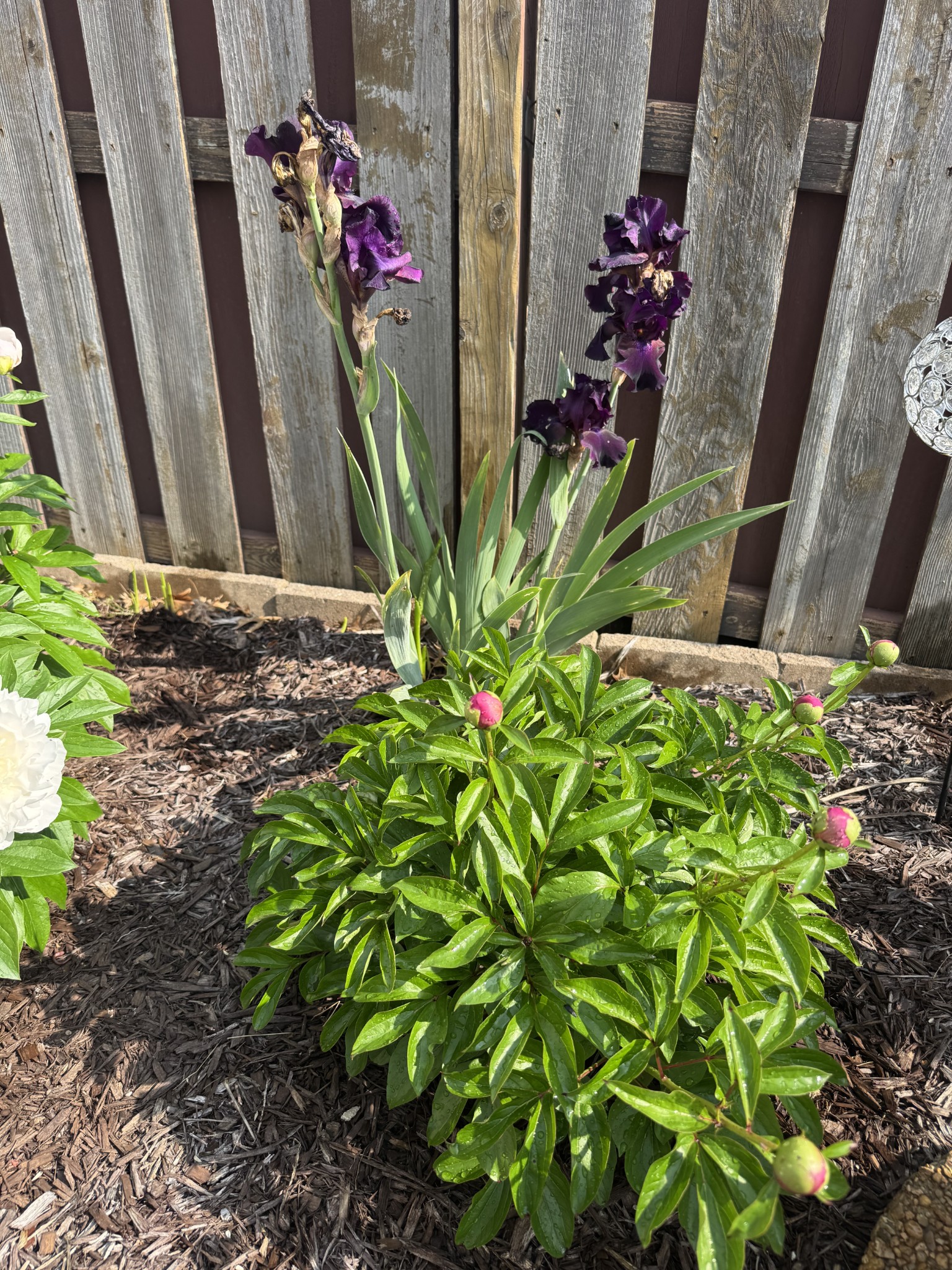 168 Stoners Glen Drive Hermitage TN 37076